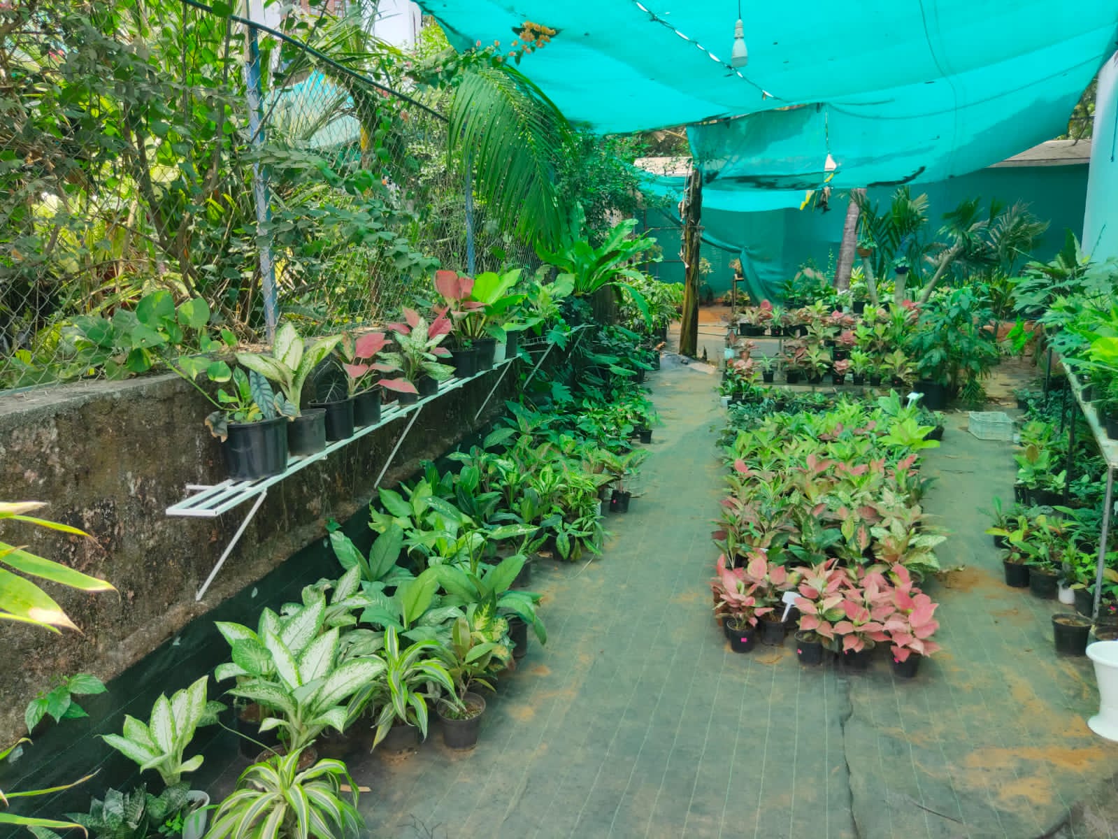 Heaven Garden Kizhisseri